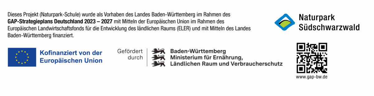 Foerderhinweis-EU-NP-Schule-2025